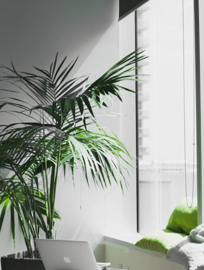 alesia kazantceva e8dabseeflo unsplash (1)