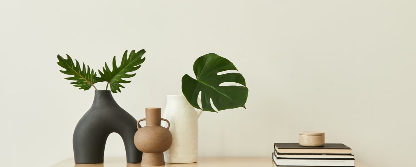 Office Plants Services istock 1295250677