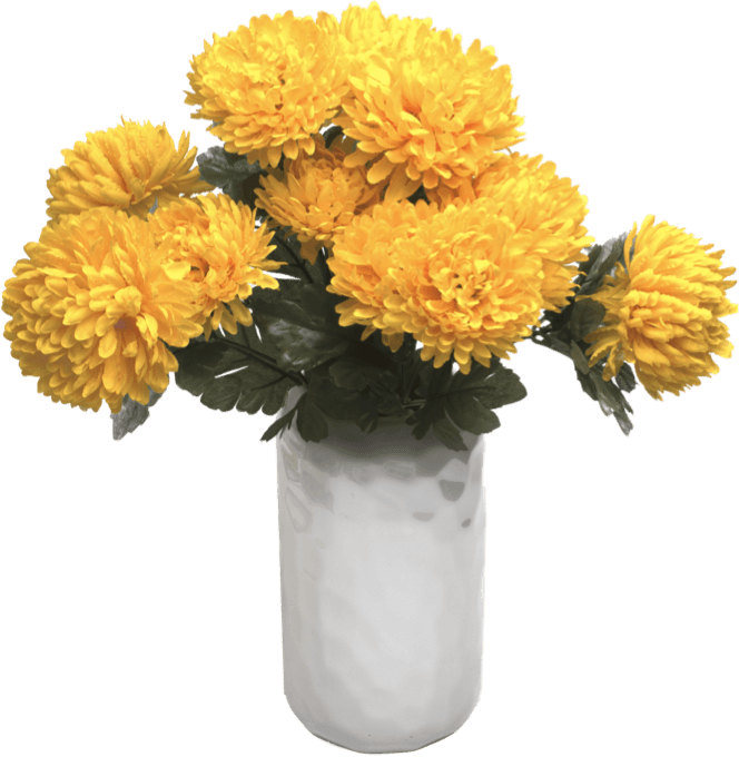 istock 1367514329